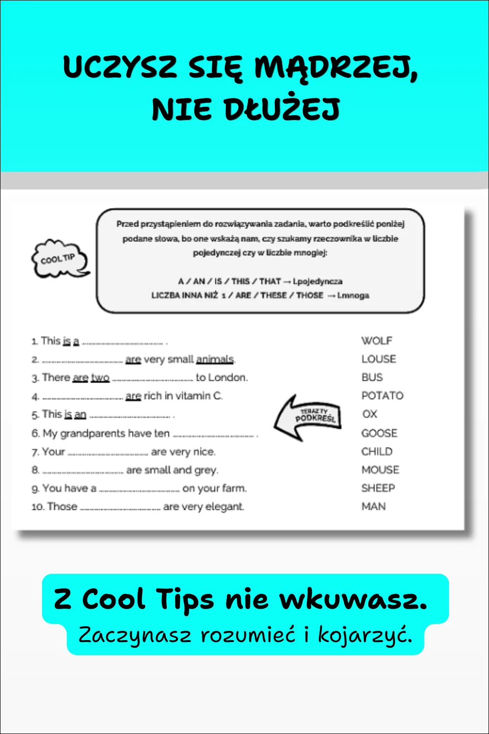 Cool English Grammar cz1 - Cool Tips