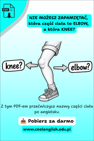 Noga z zaznaczonym kolanem między strzałkami z napisami „knee?” i „elbow?” na grafice promującej darmowy PDF o częściach ciała po angielsku