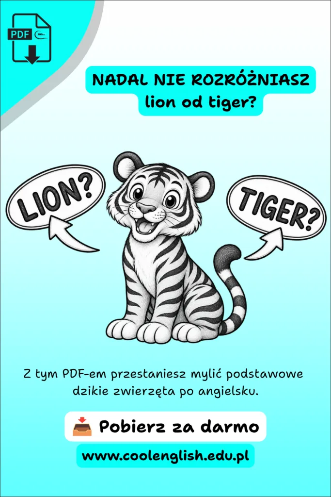 Tygrys z napisami „lion?” i „tiger?” – darmowy PDF do nauki dzikich zwierząt po angielsku.