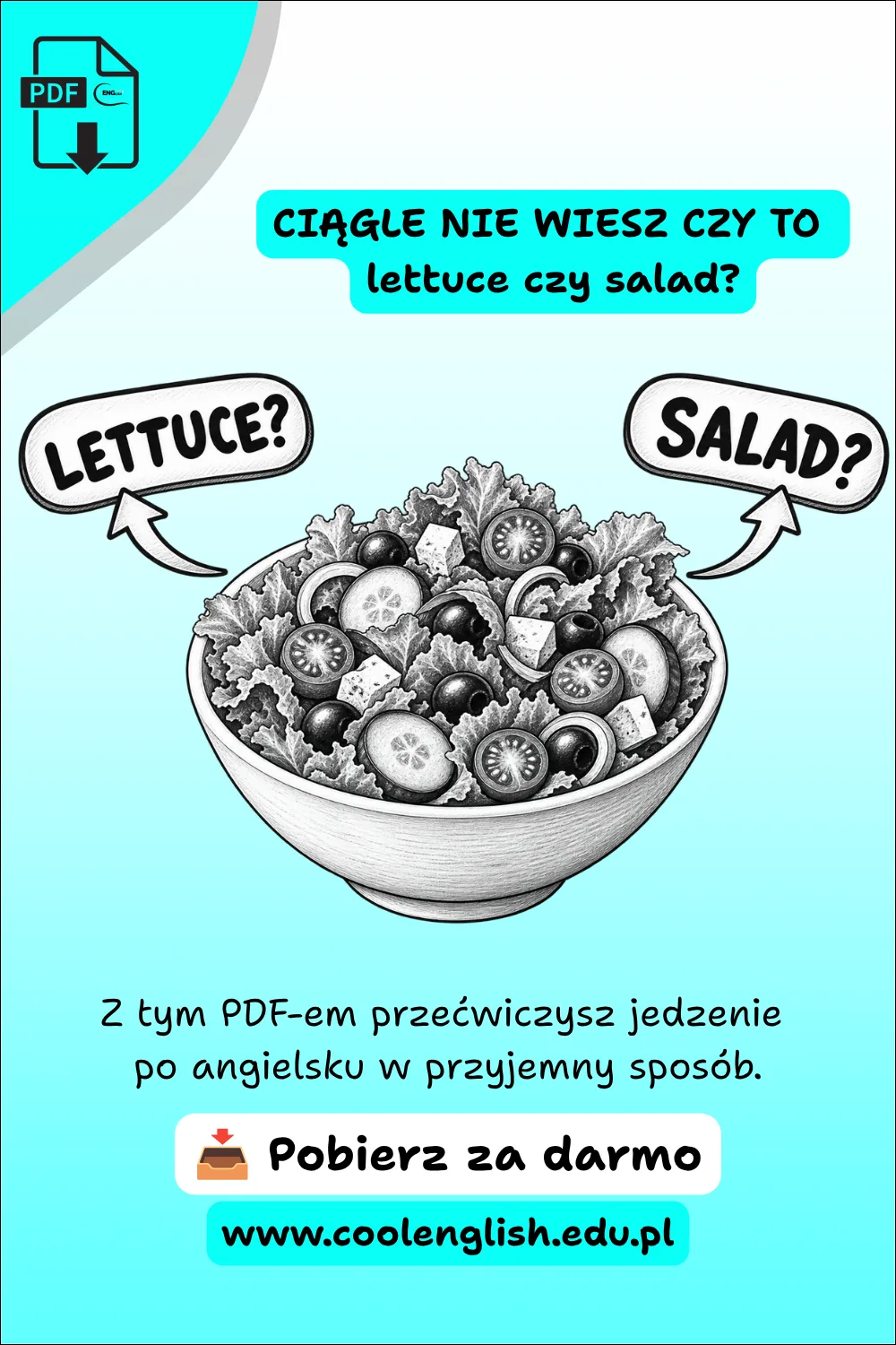 Sałatka ze strzałkami „lettuce?” i „salad?” – jedzenie po angielsku, darmowy PDF.