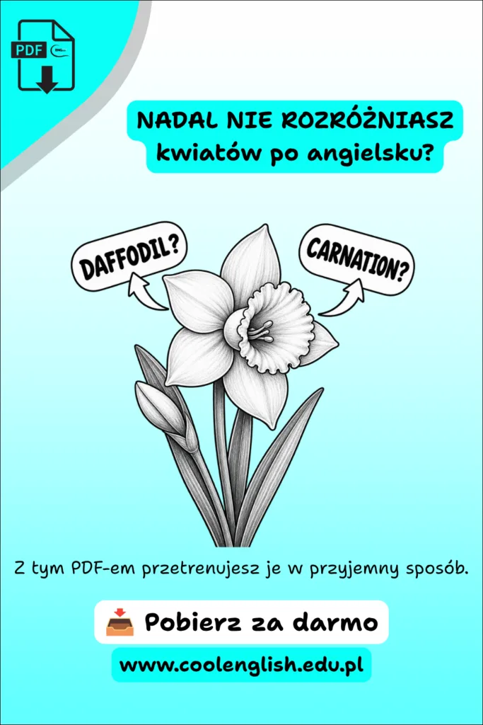 Żonkil z napisami „daffodil?” i „carnation?” na grafice promującej darmowy PDF do nauki nazw kwiatów po angielsku.