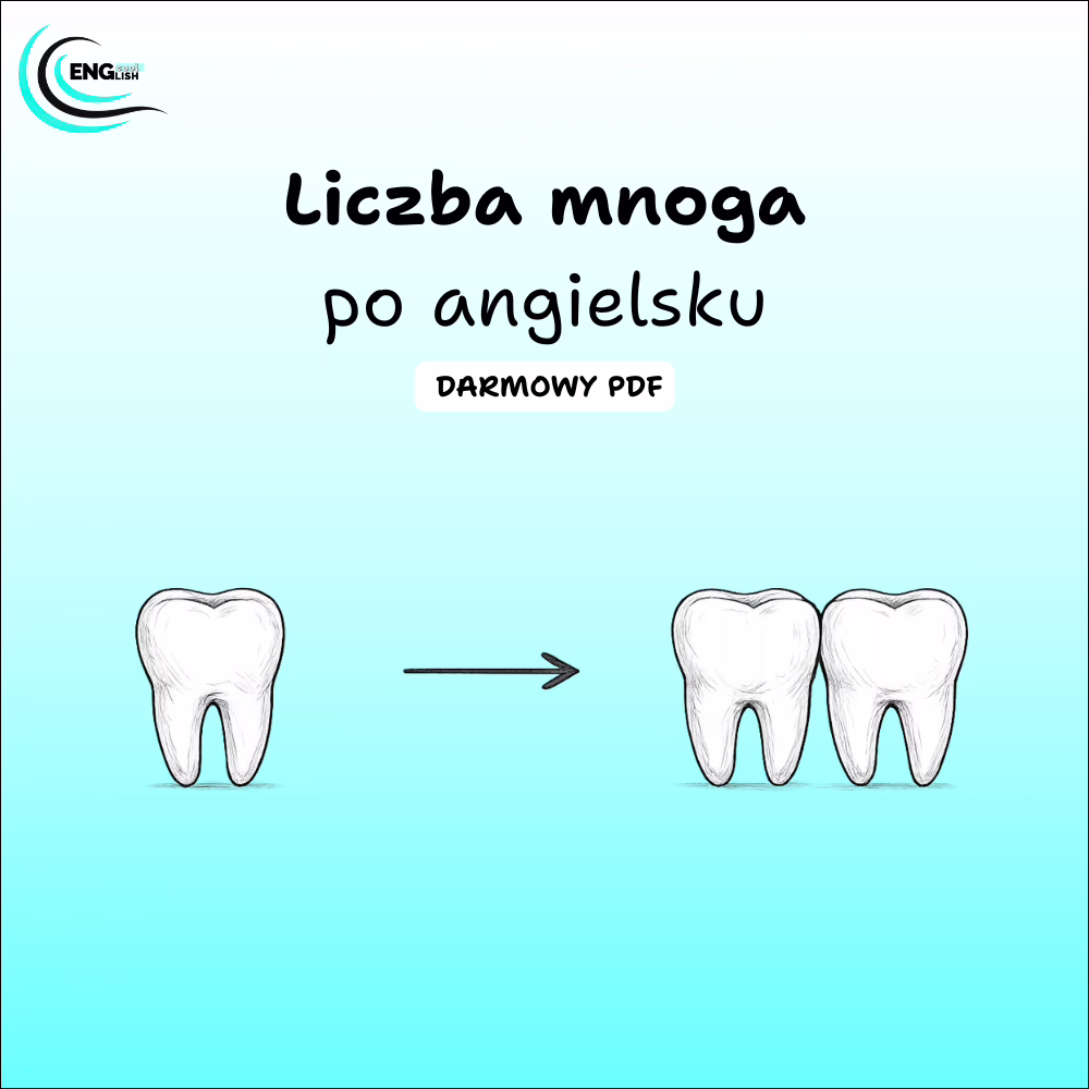 Liczba mnoga rzeczownika po angielsku - Darmowy PDF