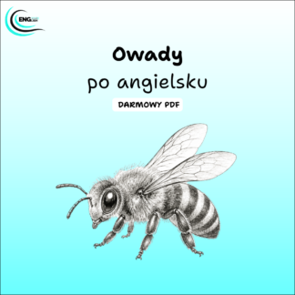 Owady po angielsku PDF – darmowa karta pracy do nauki angielskiego