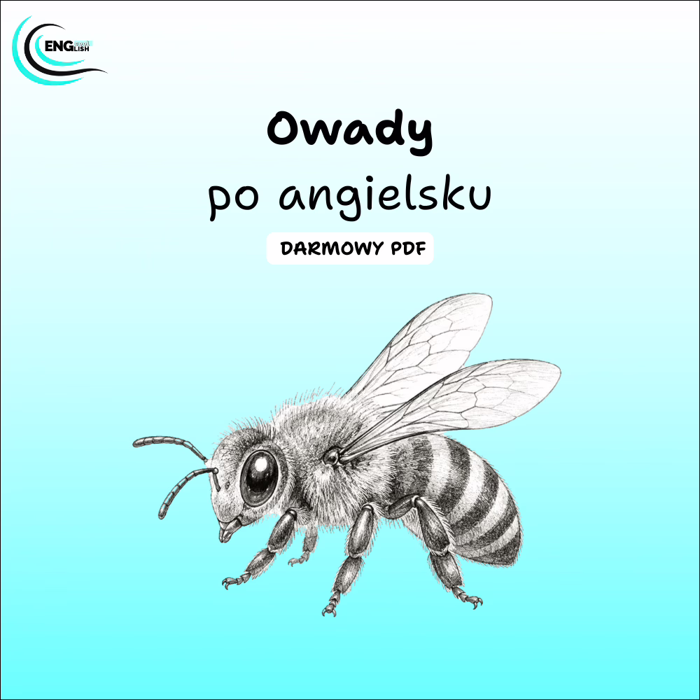 Owady po angielsku PDF – darmowa karta pracy do nauki angielskiego