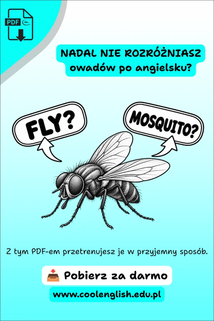 Owady po angielsku - Darmowy PDF