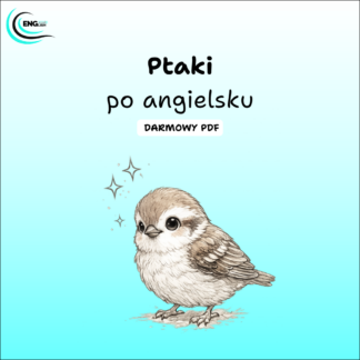 Ptaki po angielsku PDF – darmowa karta pracy do nauki angielskiego
