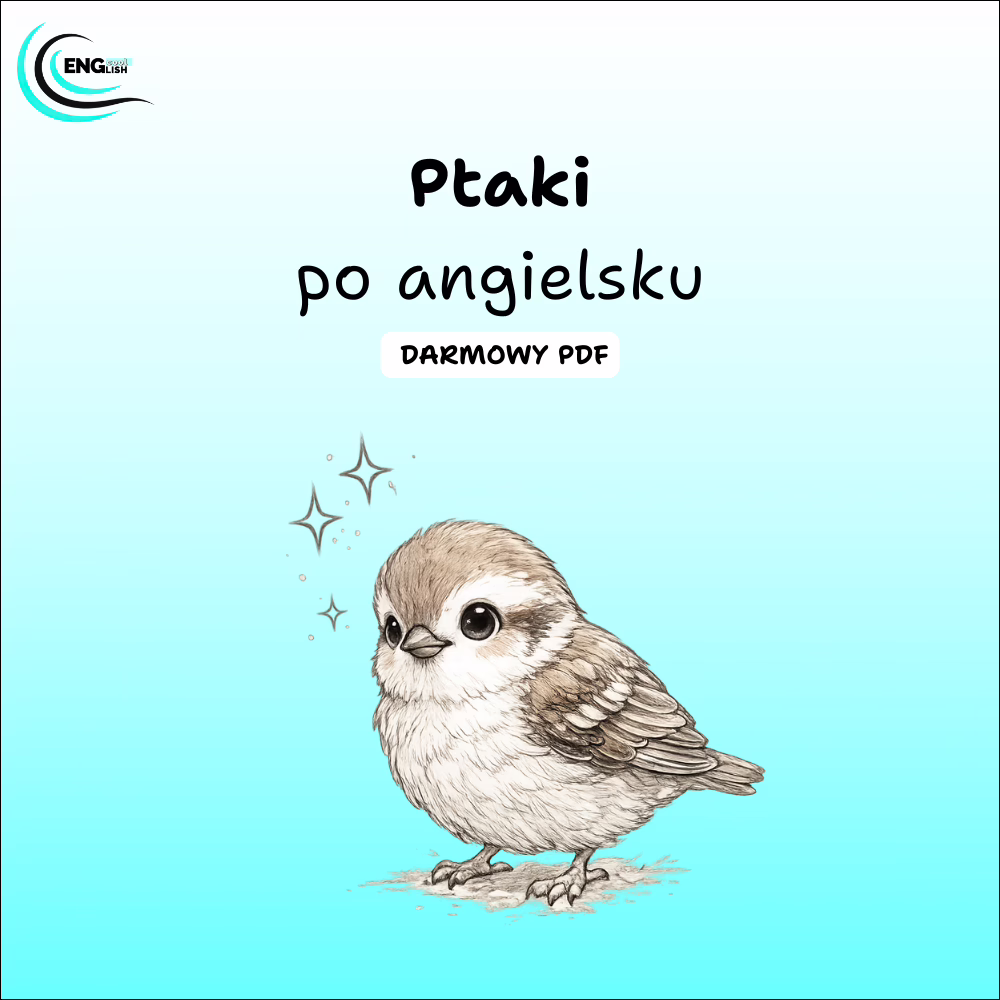Ptaki po angielsku PDF – darmowa karta pracy do nauki angielskiego
