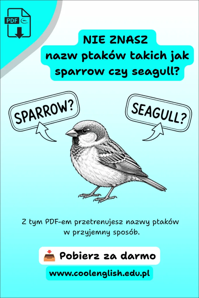 Darmowy PDF do nauki nazw ptaków po angielsku – szkic wróbla z odpowiedziami sparrow i seagull.
