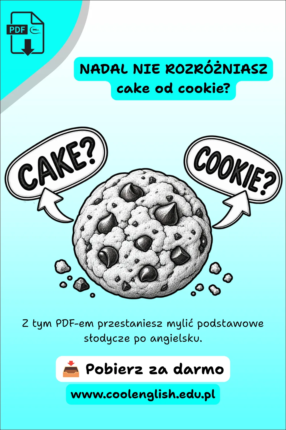 Szkicowane ciasteczko z kawałkami czekolady i napisami „cake?” oraz „cookie?” – darmowy PDF o słodyczach po angielsku.