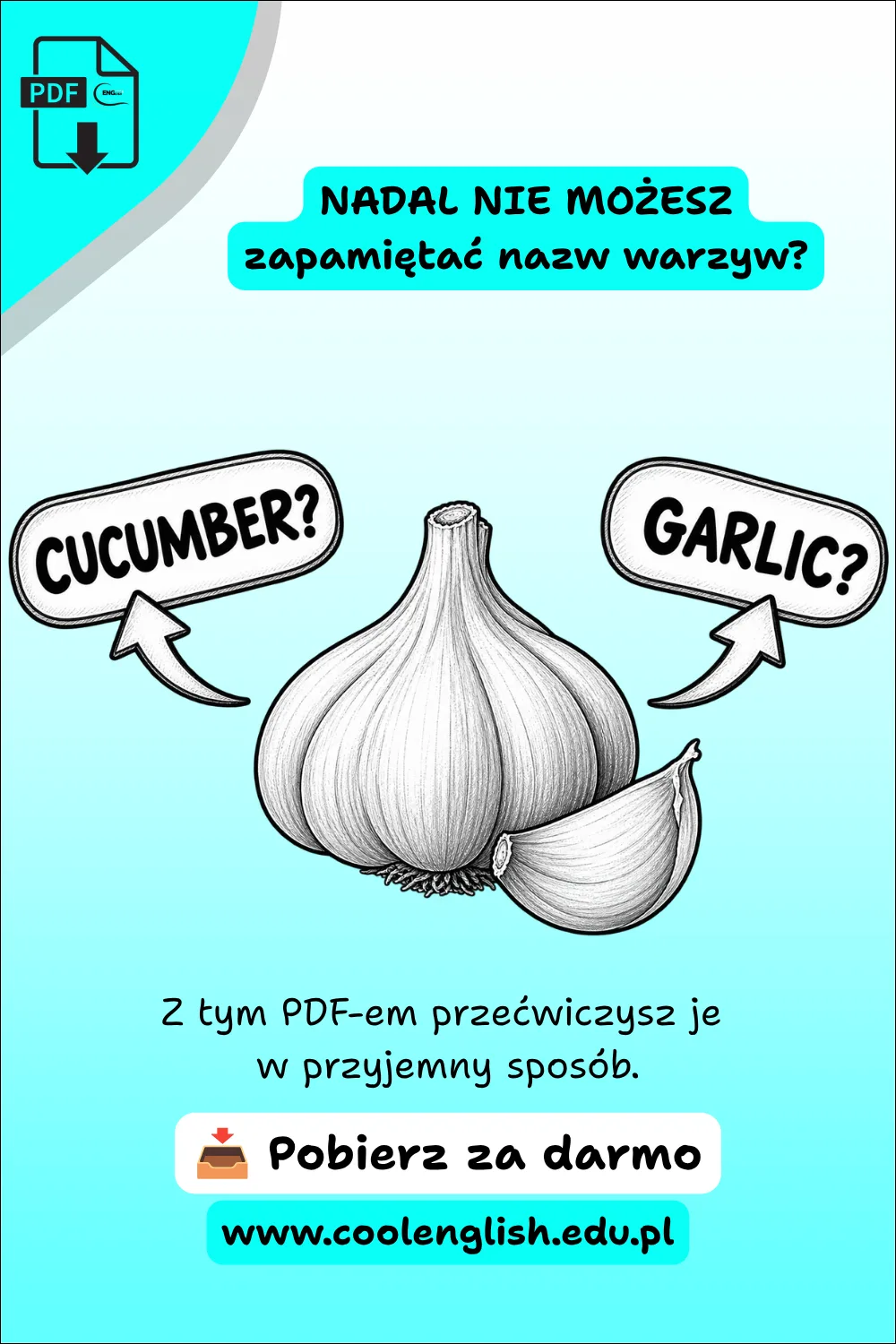 Szkicowany czosnek ze strzałkami i napisami „CUCUMBER?” oraz „GARLIC?” na grafice promującej darmowy PDF do nauki nazw warzyw po angielsku.