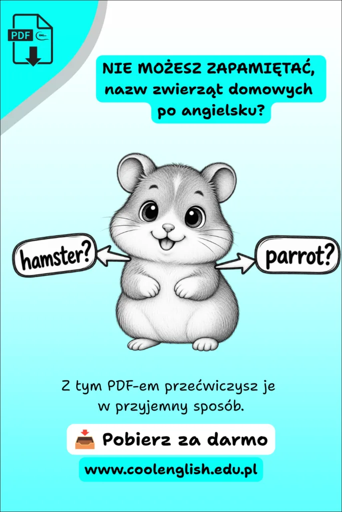 zkicowany chomik ze strzałkami i napisami „hamster?” oraz „parrot?” – zwierzęta domowe po angielsku, darmowy PDF.