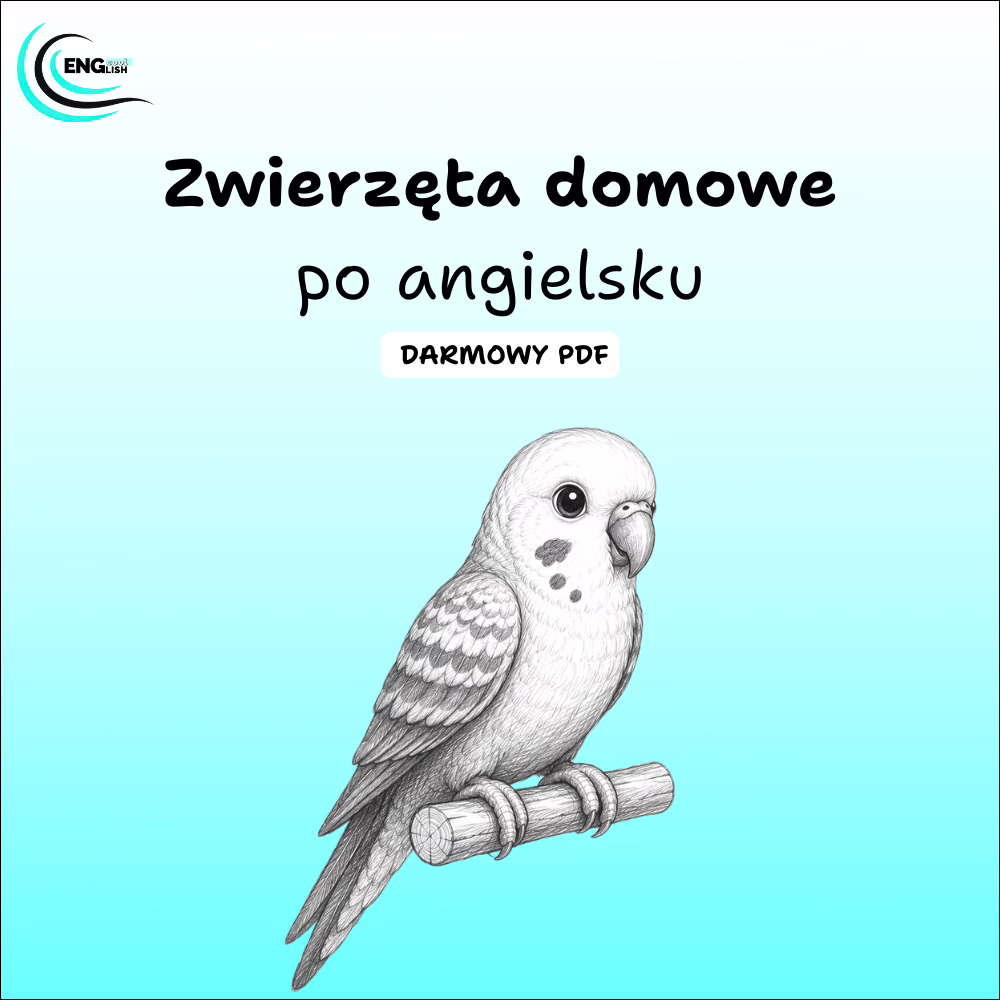 Zwierzęta domowe po angielsku PDF – darmowa karta pracy do nauki angielskiego