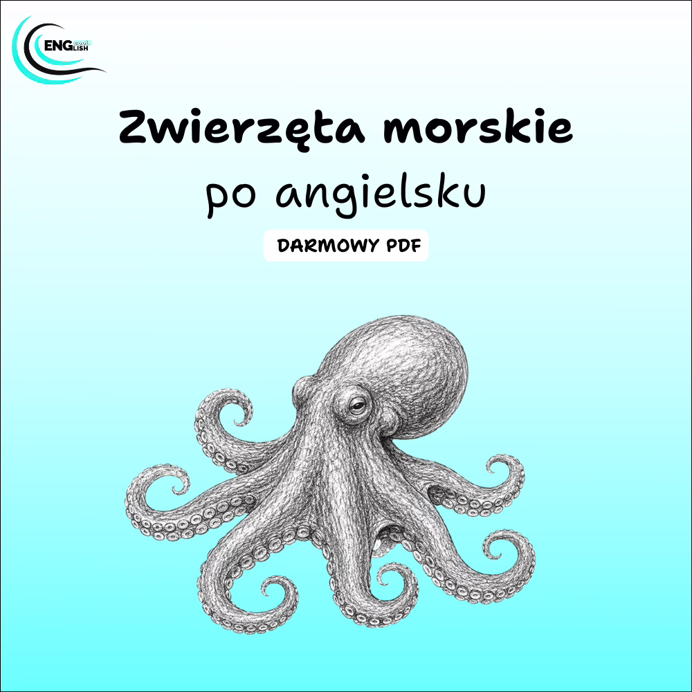 Zwierzęta morskie po angielsku PDF – darmowa karta pracy do nauki angielskiego
