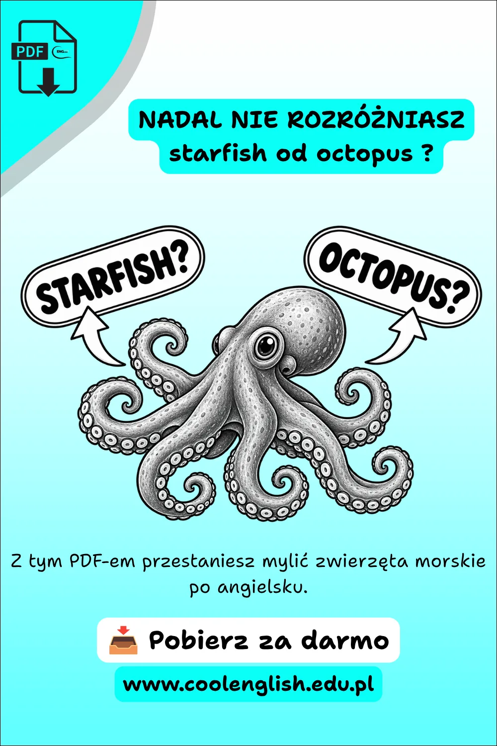 Ośmiornica z napisami „starfish?” i „octopus?” na grafice promującej darmowy PDF do nauki nazw zwierząt morskich po angielsku.