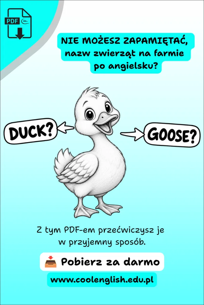Szkicowana kaczka ze strzałkami i napisami „duck?” oraz „goose?” – zwierzęta na farmie po angielsku, darmowy PDF.