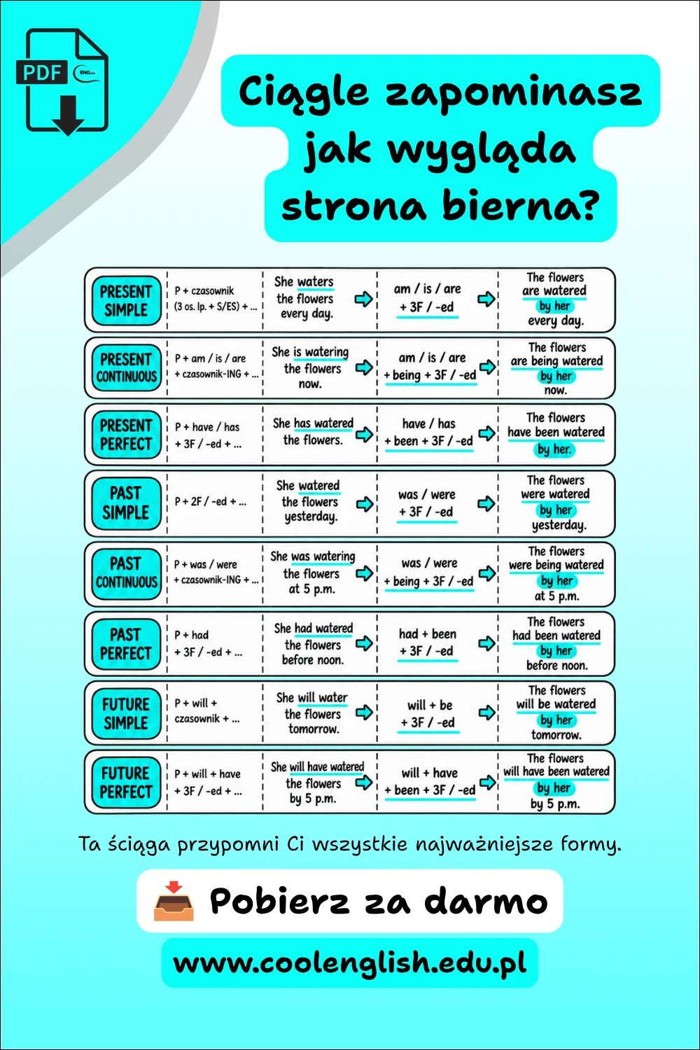 Grafika przedstawiająca schemat strony biernej w najważniejszych czasach angielskich wraz z budową zdań i przykładami w stronie czynnej i biernej.